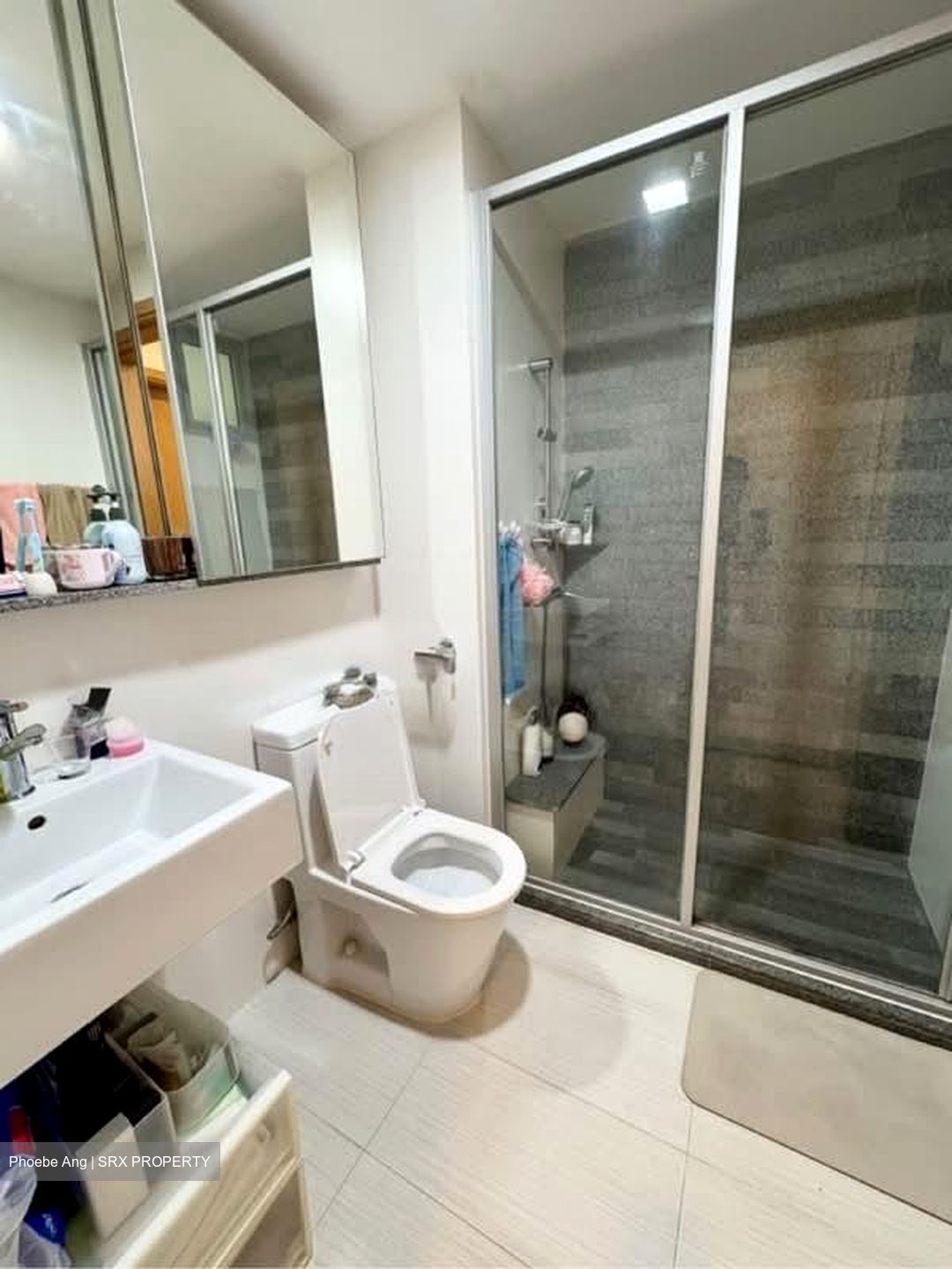 8 @ Mount Sophia (D9), Condominium #561811031